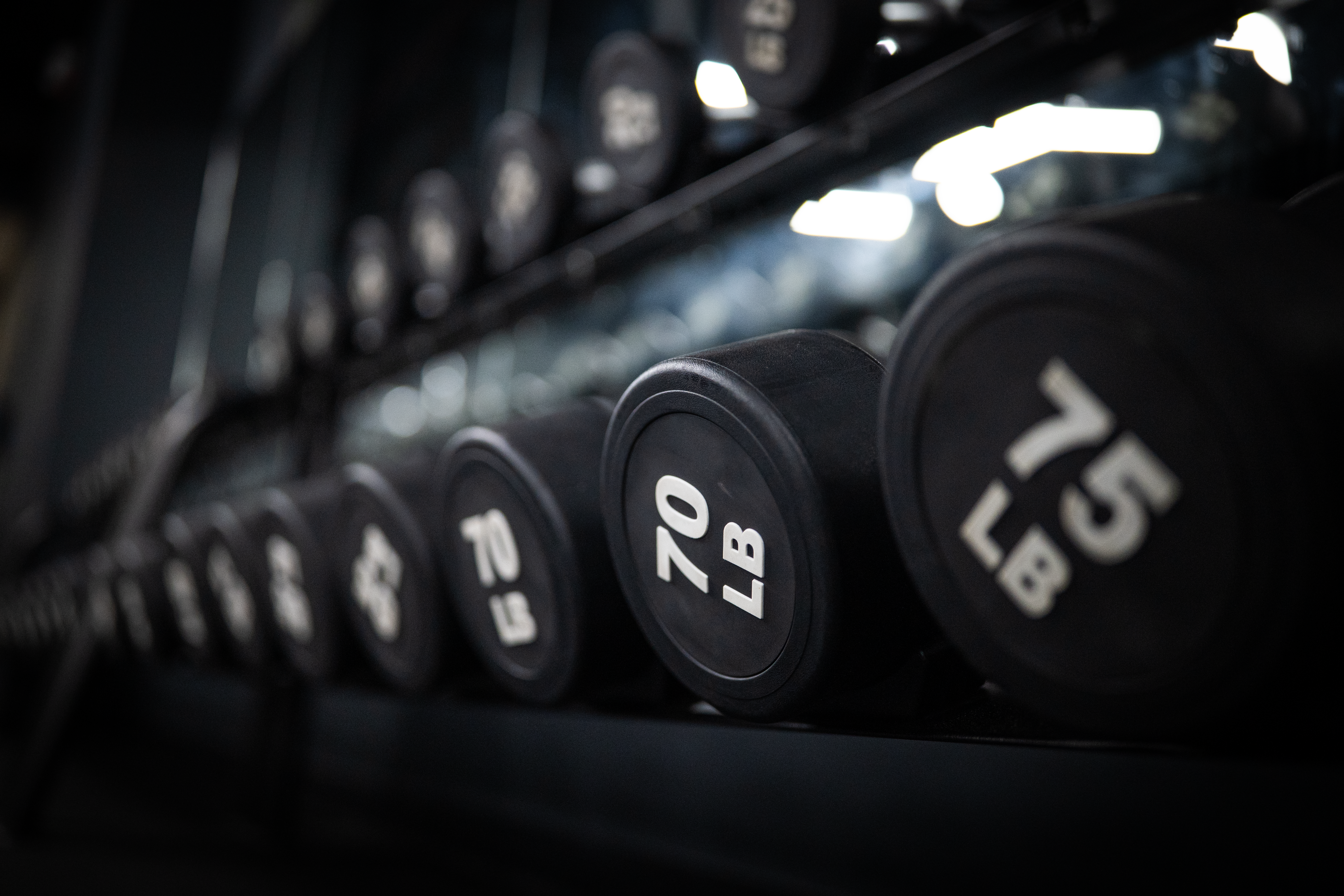 Interior + Exterior Photo / Video